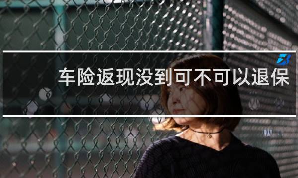 车险返现没到可不可以退保