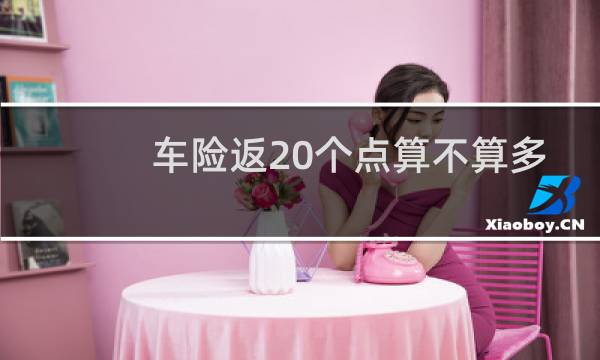 车险返20个点算不算多