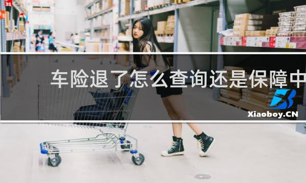 车险退了怎么查询还是保障中