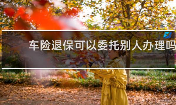 车险退保可以委托别人办理吗
