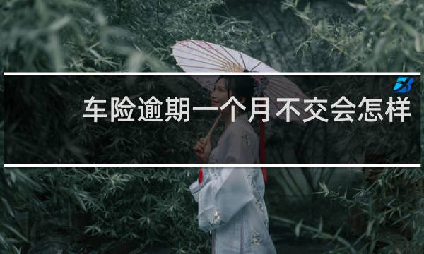车险逾期一个月不交会怎样
