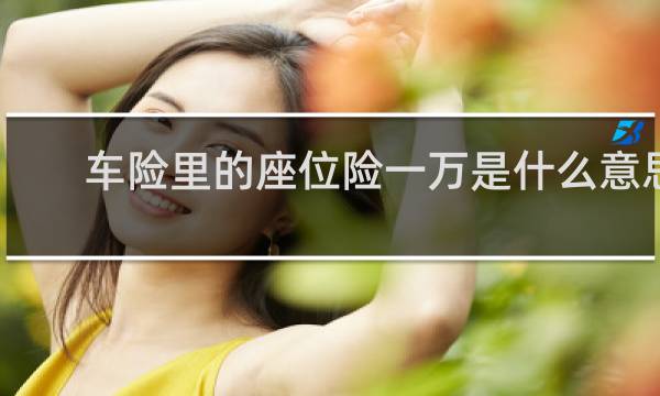 车险里的座位险一万是什么意思