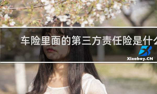 车险里面的第三方责任险是什么