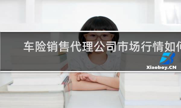 车险销售代理公司市场行情如何