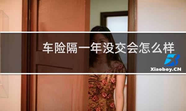 车险隔一年没交会怎么样