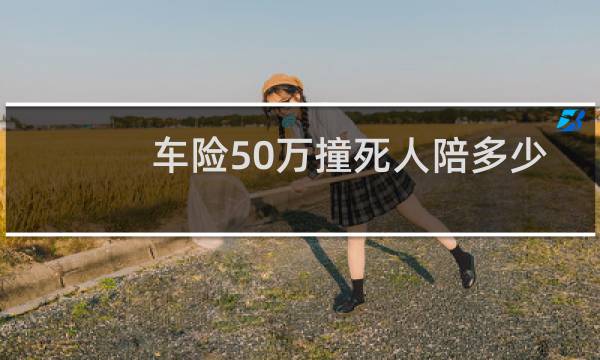 车险50万撞死人陪多少