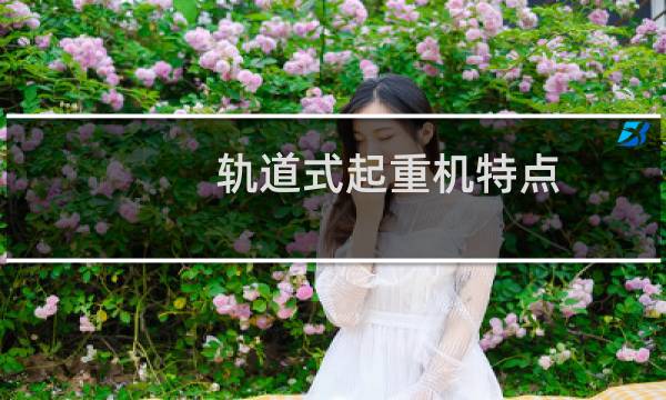 轨道式起重机特点
