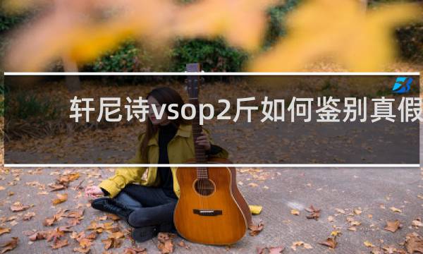轩尼诗vsop2斤如何鉴别真假