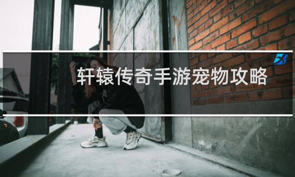 轩辕传奇手游宠物攻略