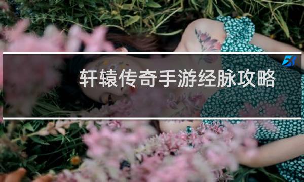 轩辕传奇手游经脉攻略