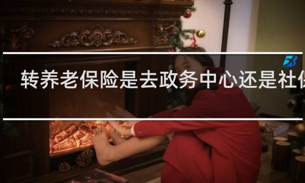 转养老保险是去政务中心还是社保局