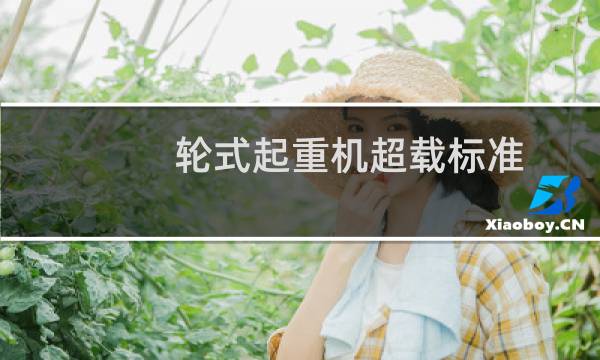 轮式起重机超载标准