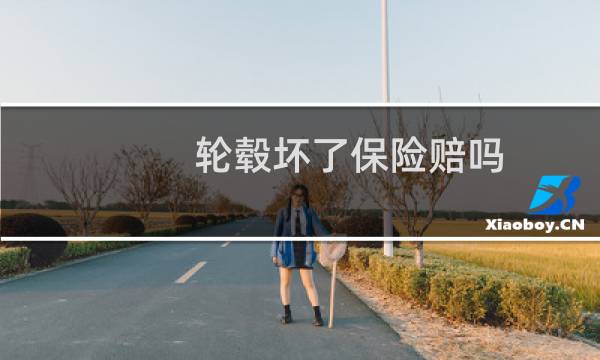 轮毂坏了保险赔吗