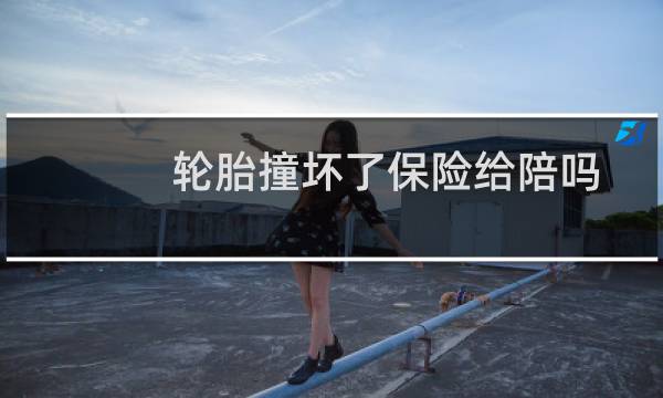 轮胎撞坏了保险给陪吗