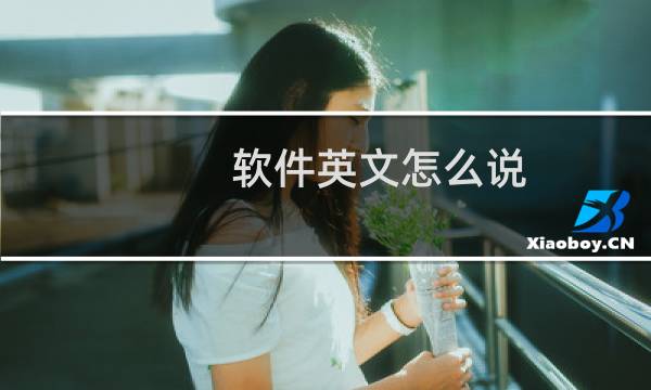 软件英文怎么说