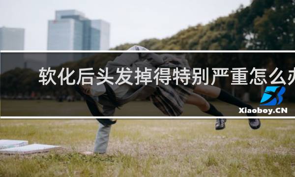 软化后头发掉得特别严重怎么办