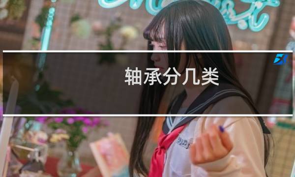 轴承分几类