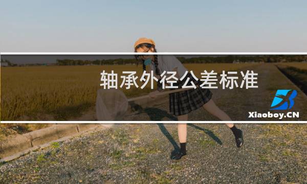 轴承外径公差标准