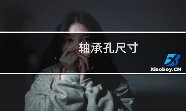 轴承孔尺寸