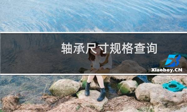 轴承尺寸规格查询