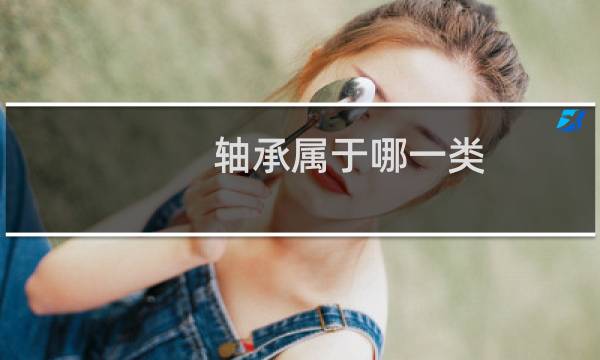 轴承属于哪一类