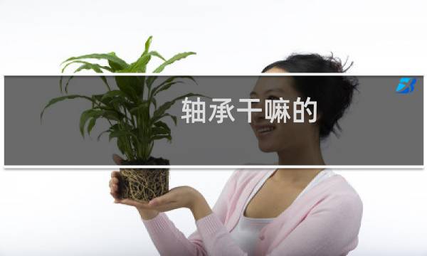 轴承干嘛的