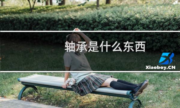 轴承是什么东西