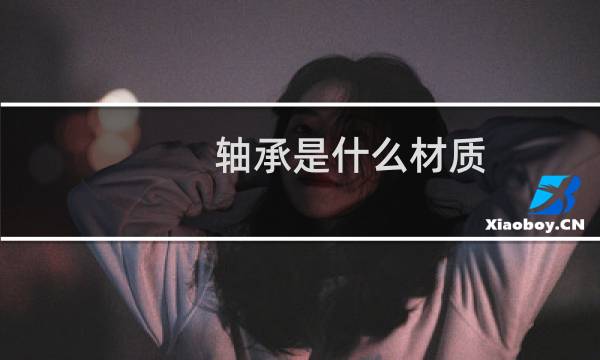 轴承是什么材质