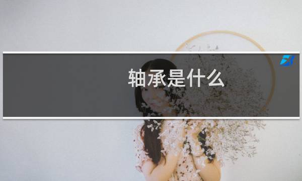 轴承是什么