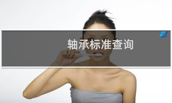 轴承标准查询