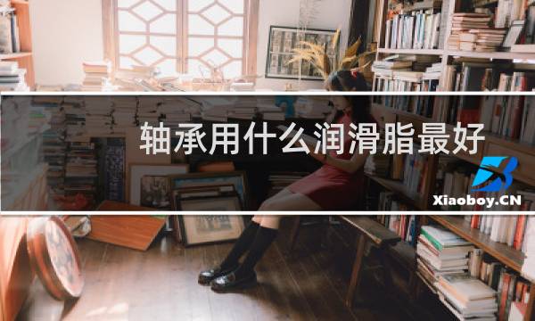 轴承用什么润滑脂最好