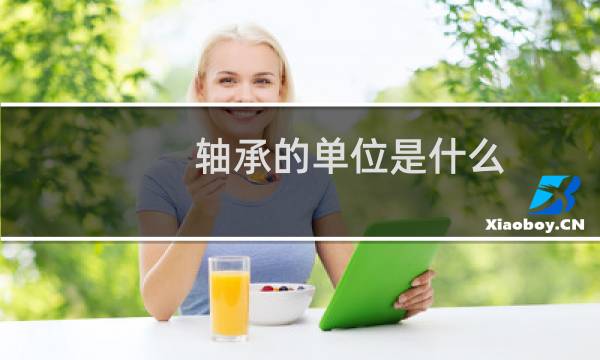 轴承的单位是什么