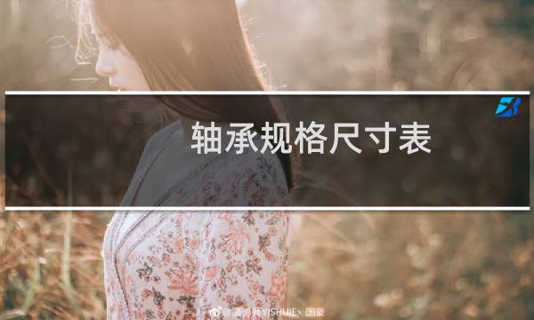 轴承规格尺寸表