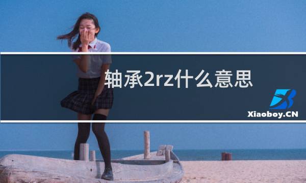 轴承2rz什么意思