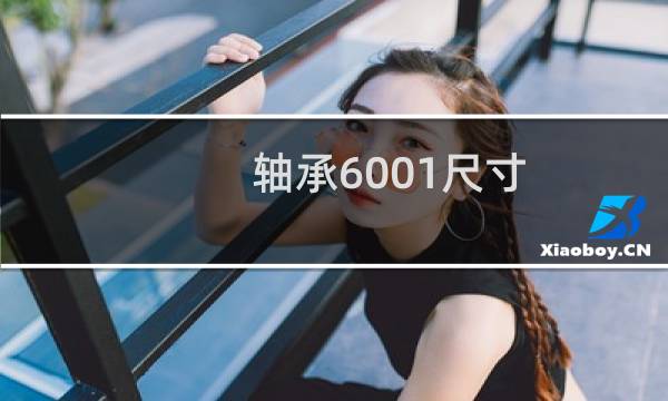 轴承6001尺寸