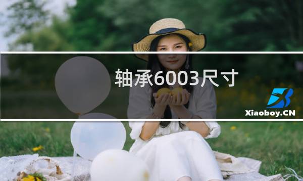 轴承6003尺寸