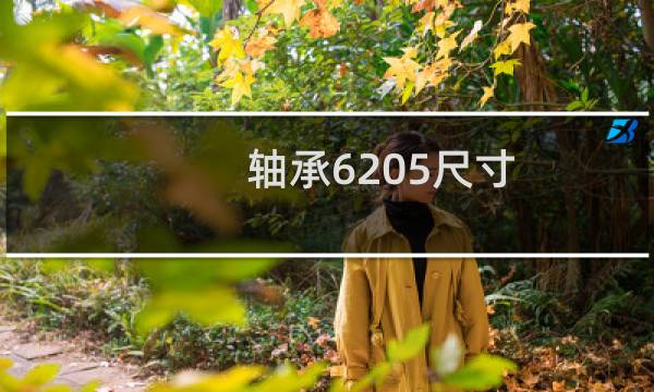 轴承6205尺寸