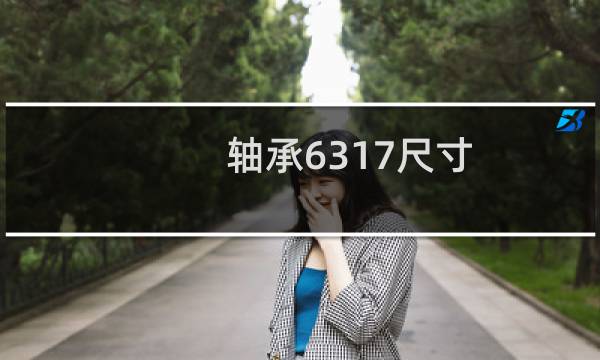 轴承6317尺寸