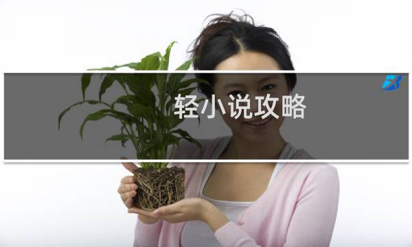 轻小说攻略