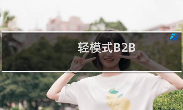 轻模式B2B