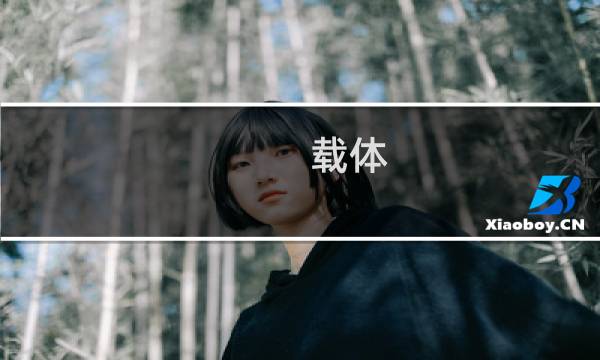 载体 攻略