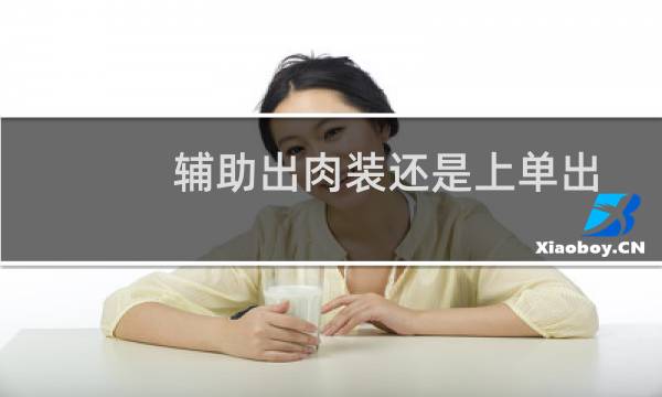 辅助出肉装还是上单出
