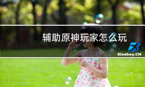 辅助原神玩家怎么玩
