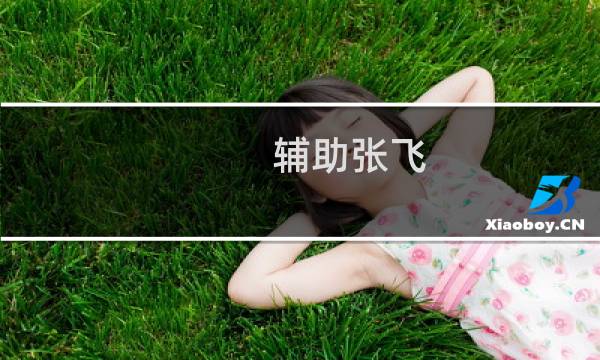 辅助张飞 攻略