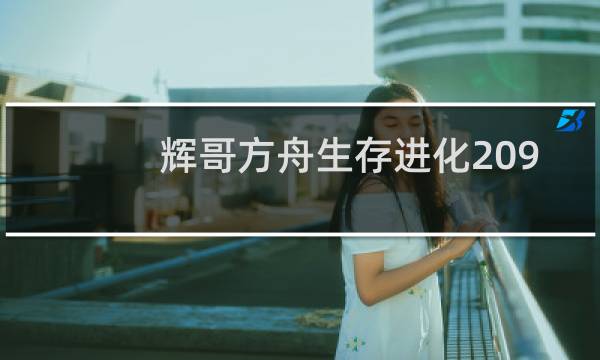 辉哥方舟生存进化209