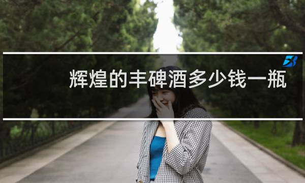 辉煌的丰碑酒多少钱一瓶
