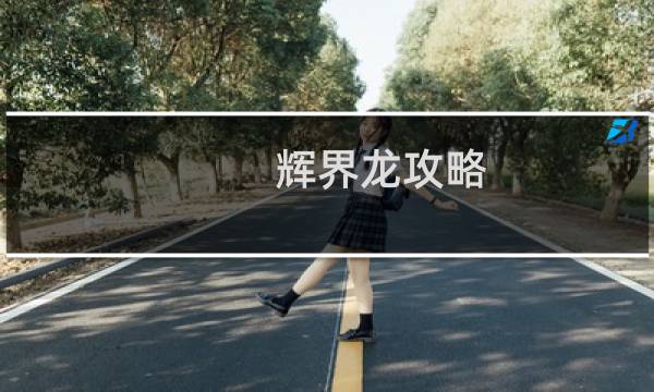 辉界龙攻略