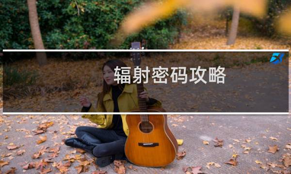 辐射密码攻略
