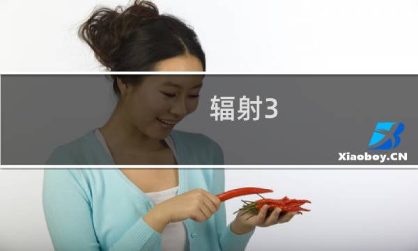 辐射3 官方攻略