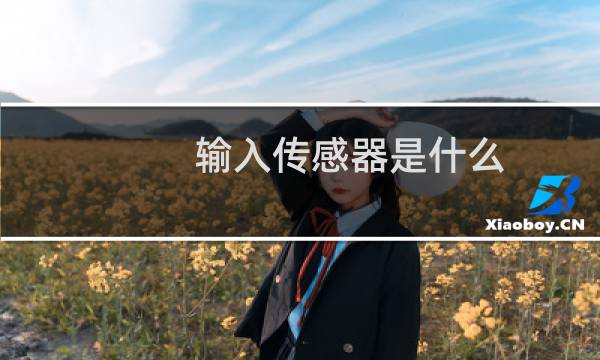 输入传感器是什么